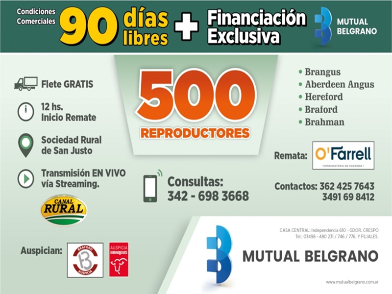 Imagen adicional